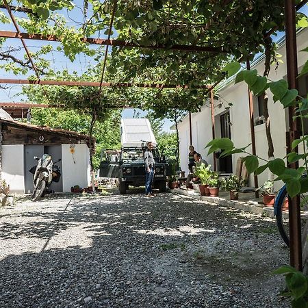 Eco Garten Guest House Shkodër Екстериор снимка