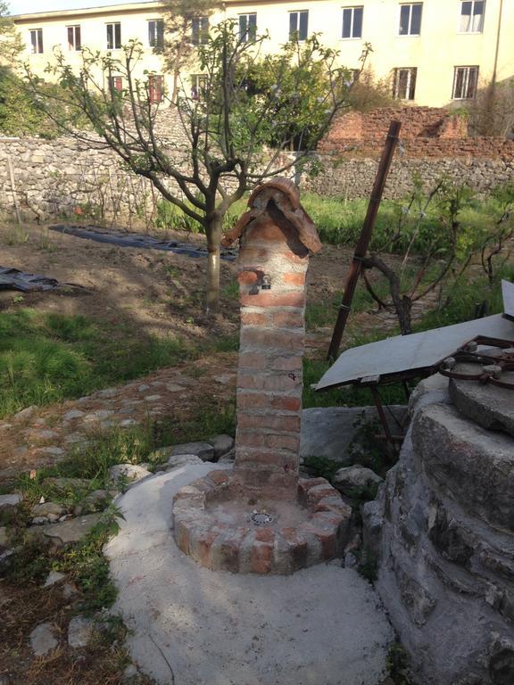 Eco Garten Guest House Shkodër Екстериор снимка
