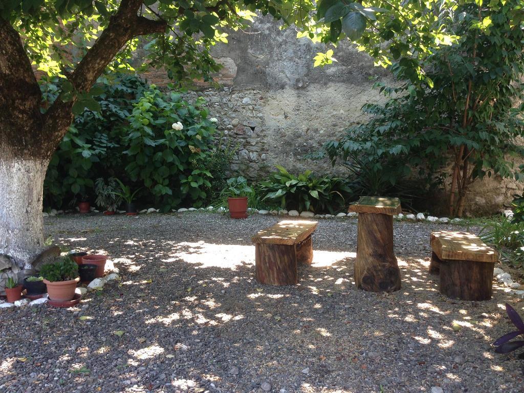 Eco Garten Guest House Shkodër Екстериор снимка