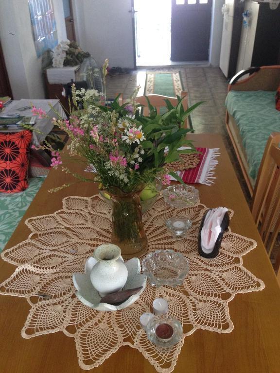 Eco Garten Guest House Shkodër Екстериор снимка