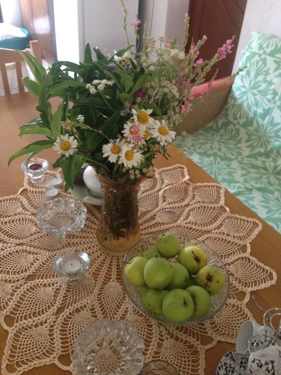 Eco Garten Guest House Shkodër Екстериор снимка