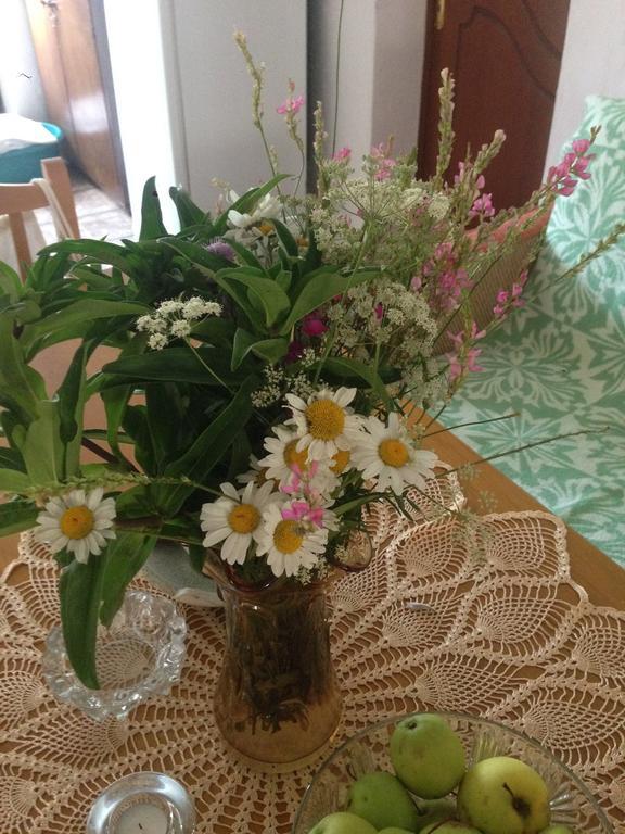 Eco Garten Guest House Shkodër Екстериор снимка