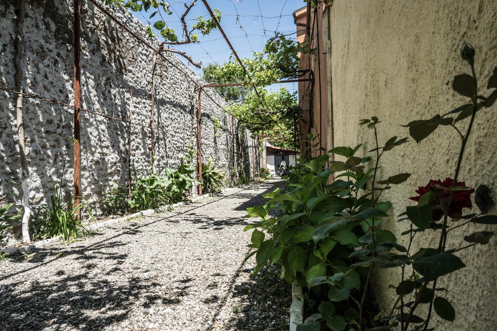 Eco Garten Guest House Shkodër Екстериор снимка