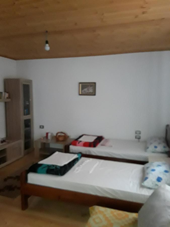 Eco Garten Guest House Shkodër Екстериор снимка