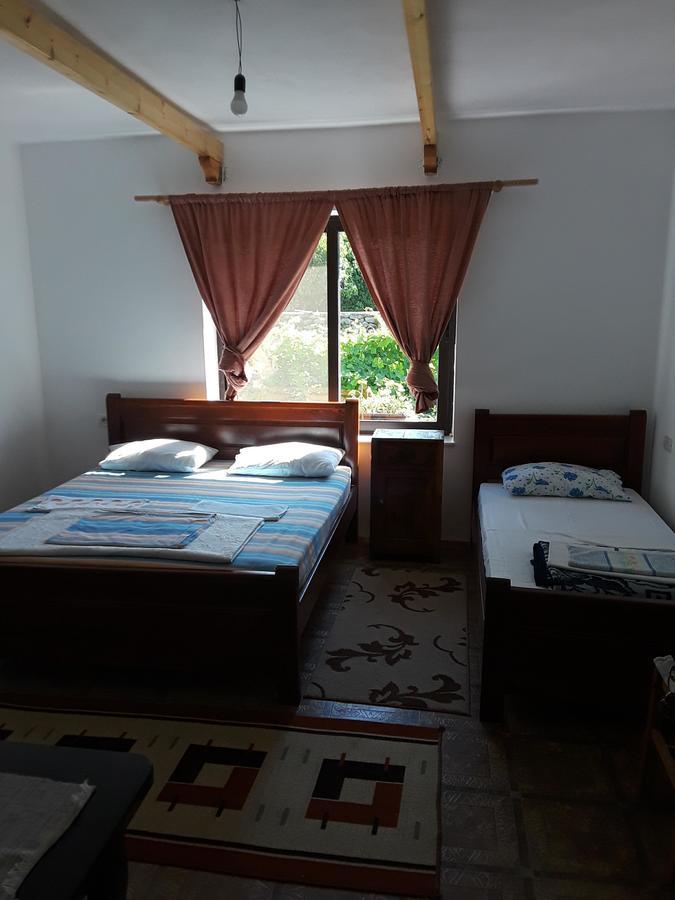 Eco Garten Guest House Shkodër Екстериор снимка