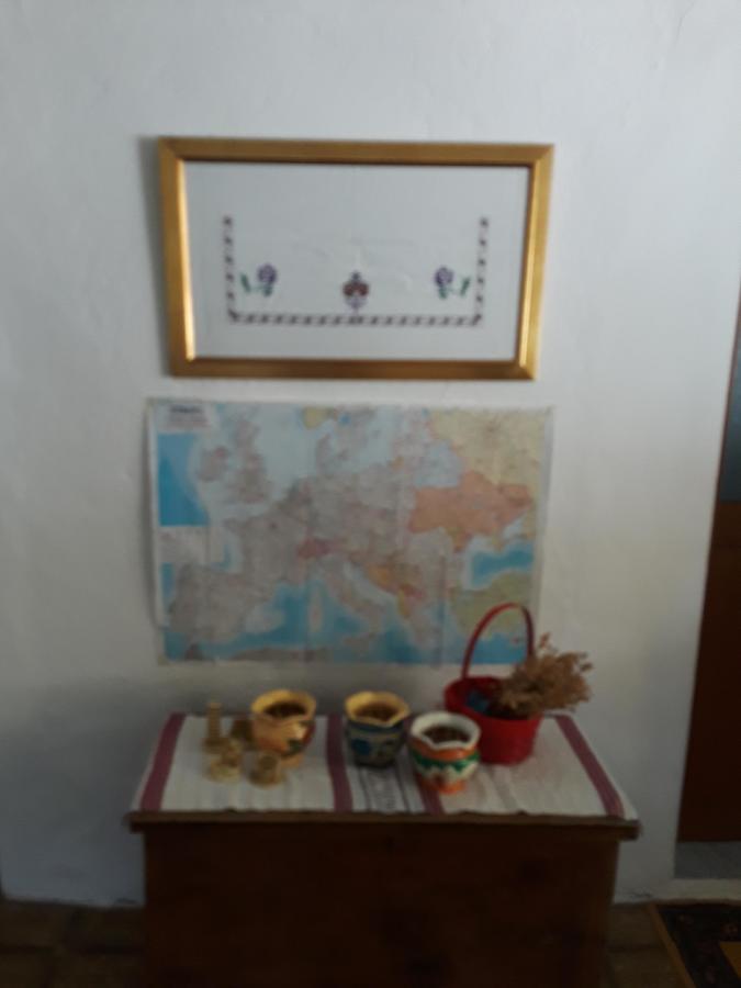 Eco Garten Guest House Shkodër Екстериор снимка
